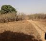 Terrain de 4 hectares a toubab dialaw