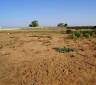 A saisir 1 hectare 2000 de terrain cloturé sur Nguering